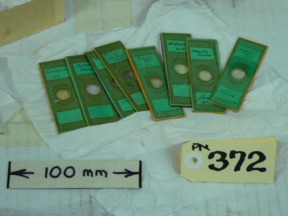 Microscope Slides