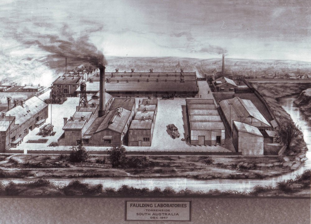 Faulding Laboratories, Drawing,1947