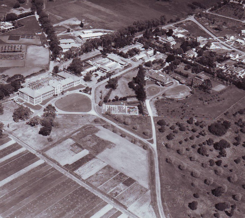 Waite Agricultural Research Institute, c1976