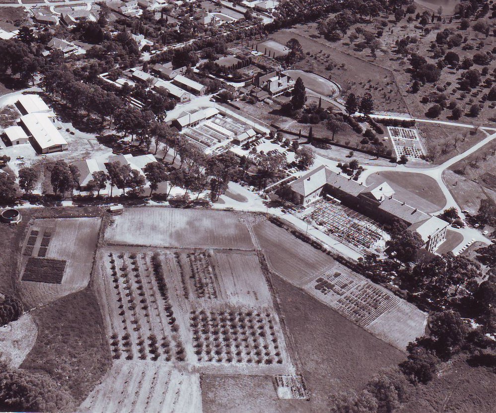 Waite Agricultural Research Institute, c1970