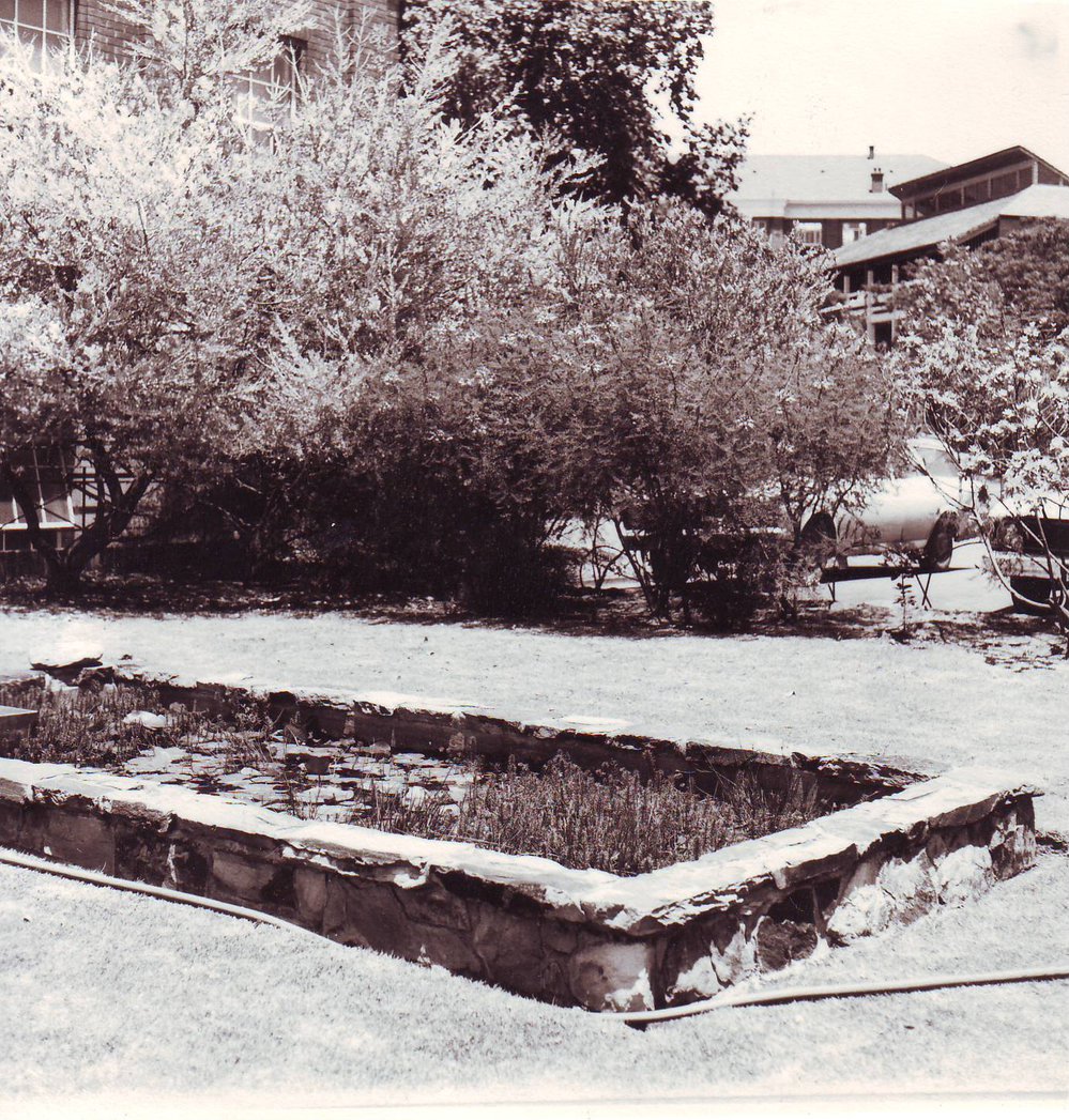 Biology Pond, c1972