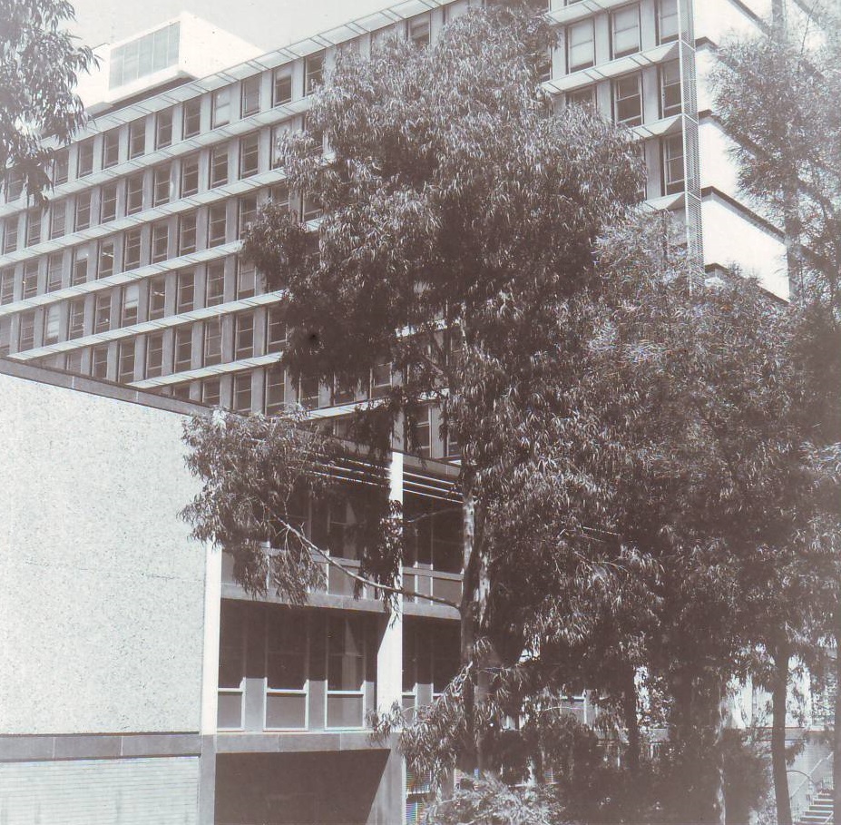 Napier Building, c1970