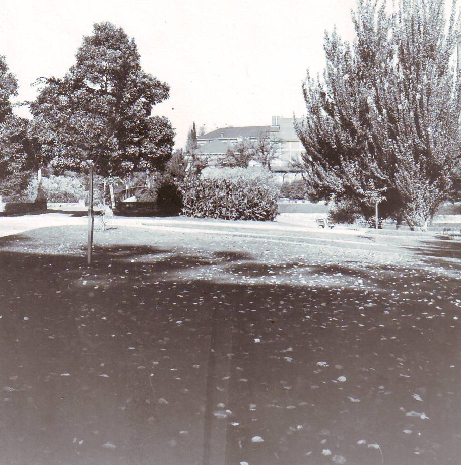 Parklands North of University Footbridge, c1975