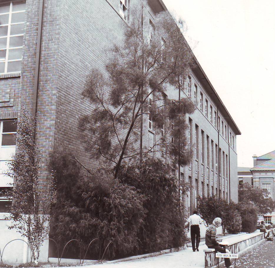 Mathematics Building, c1975