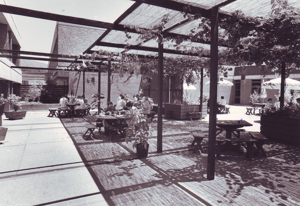 Staff Club Courtyard and Garden, c1974