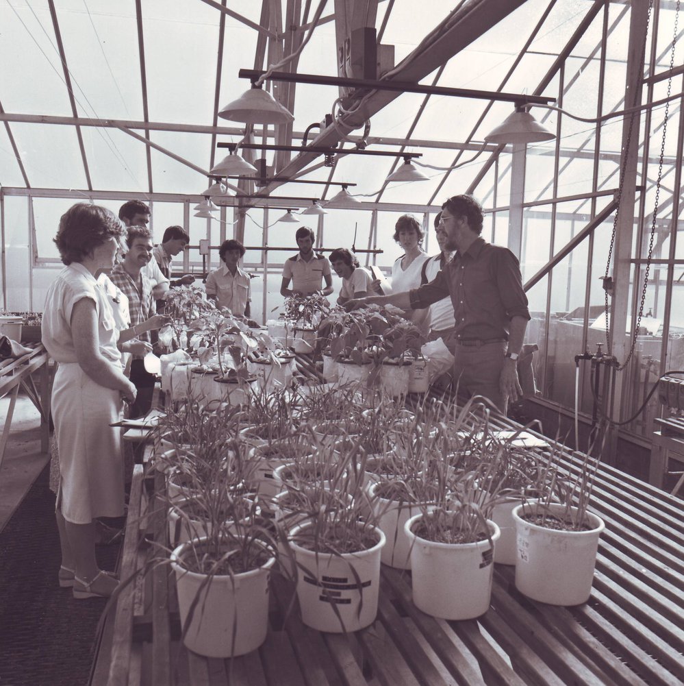 Plant Experiments, Agricultural Science, c1987