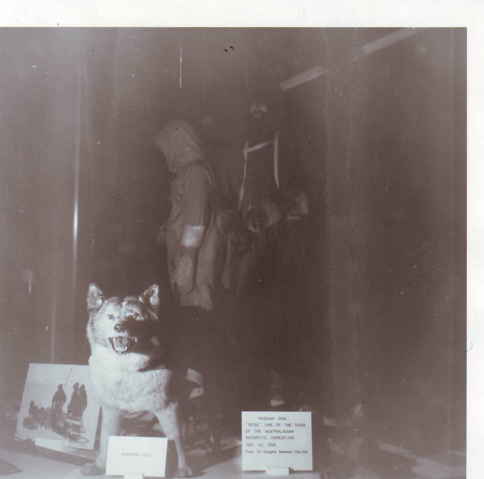 Douglas Mawson Exhibition, c1986