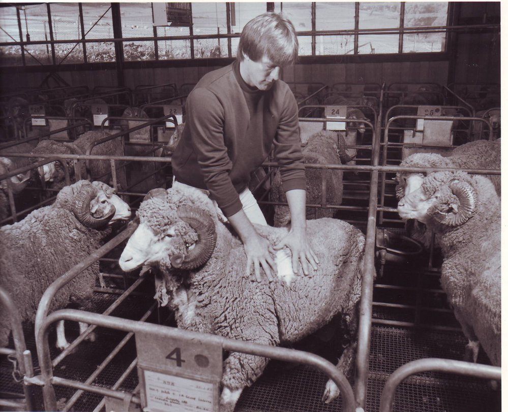 Testing for Wool Density, Agricultural Science, c1985