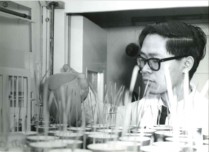 Lim Wah Ching - Plant Pathology, c1975
