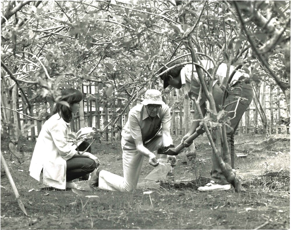 Professor Jack Wilson, c1985