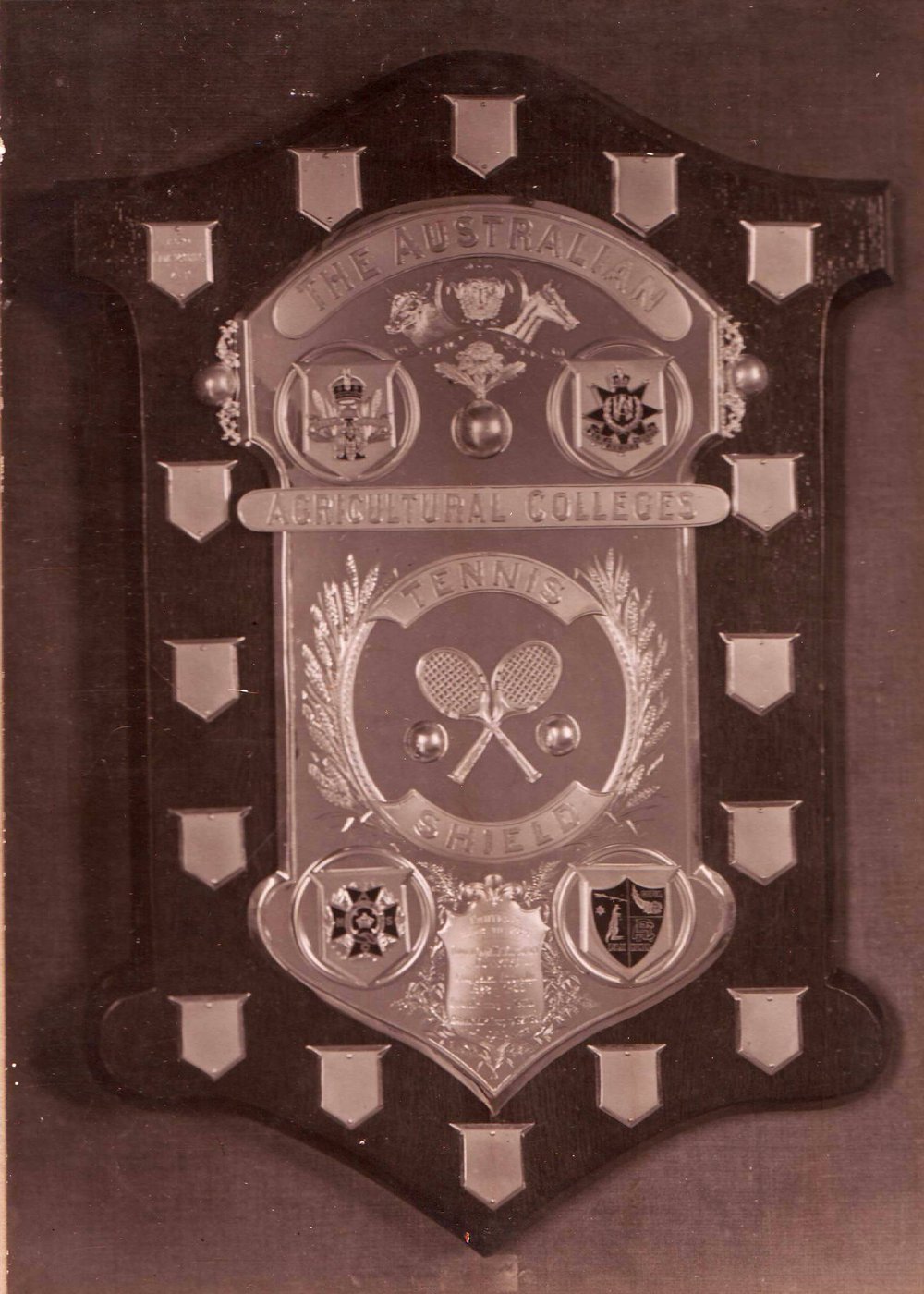The Australian Agricultural Colleges Tennis Shield, 1929