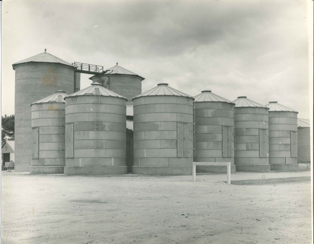 Grain Silos, c1965