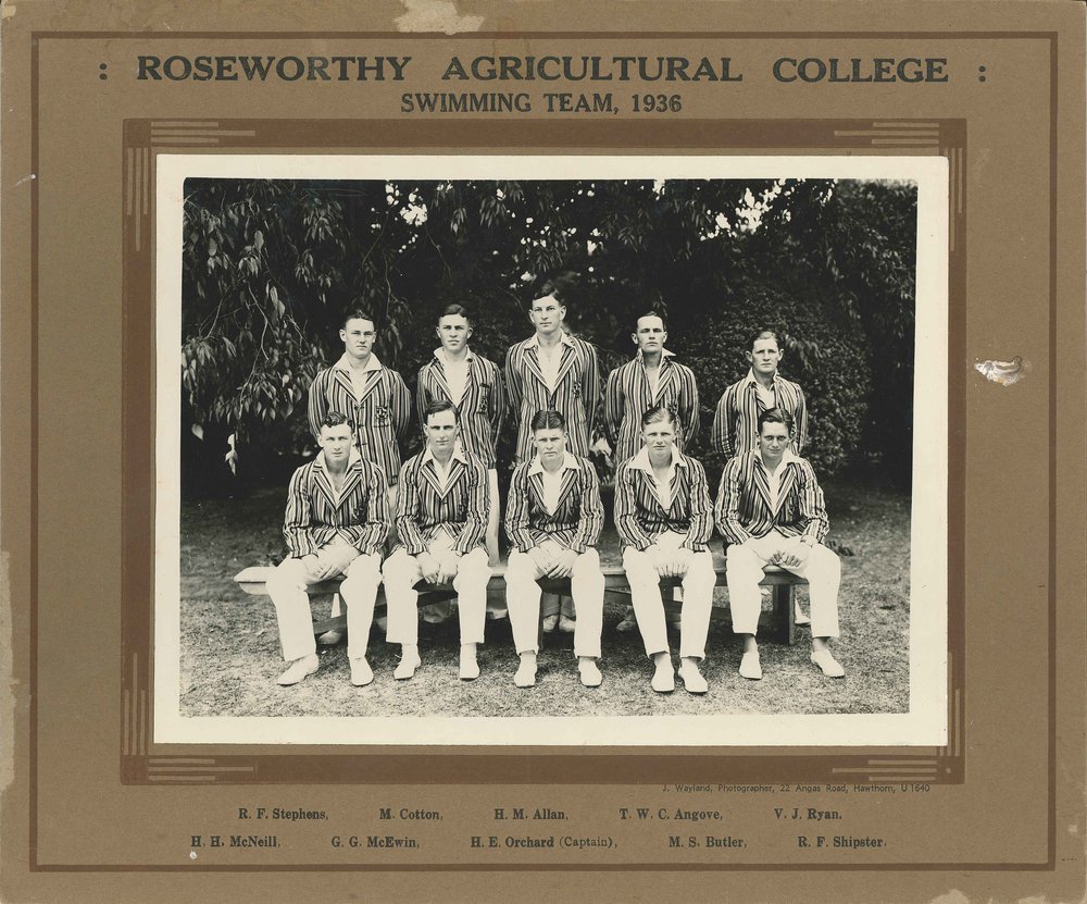 Swimming Team, Roseworthy Agricultural College, 1936