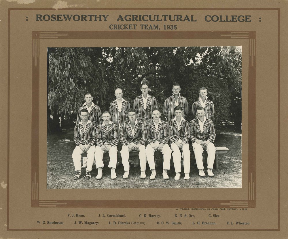 Cricket Team, Roseworthy Agricultural College, 1936