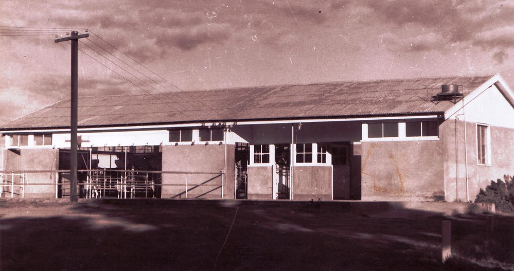 Dairy, Roseworthy Agricultural College, c1960
