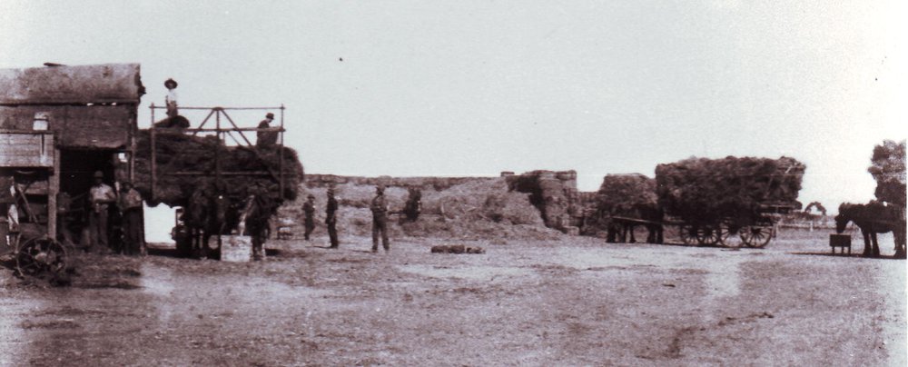 Chaff Cutting, c1920
