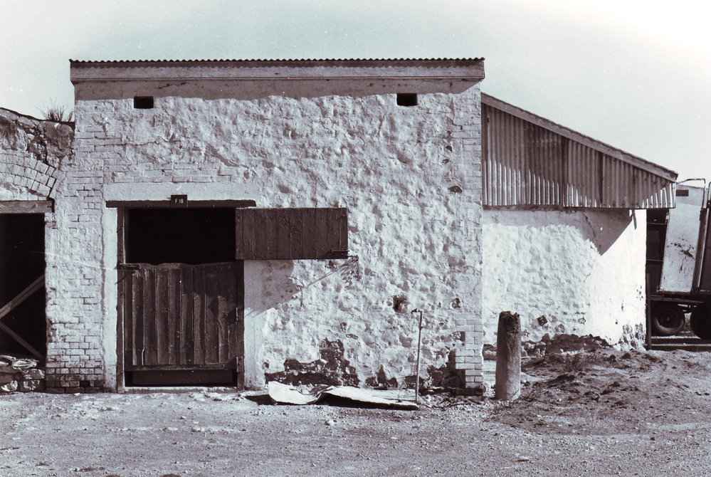 Stable, Roseworthy Agricultural College, c1970