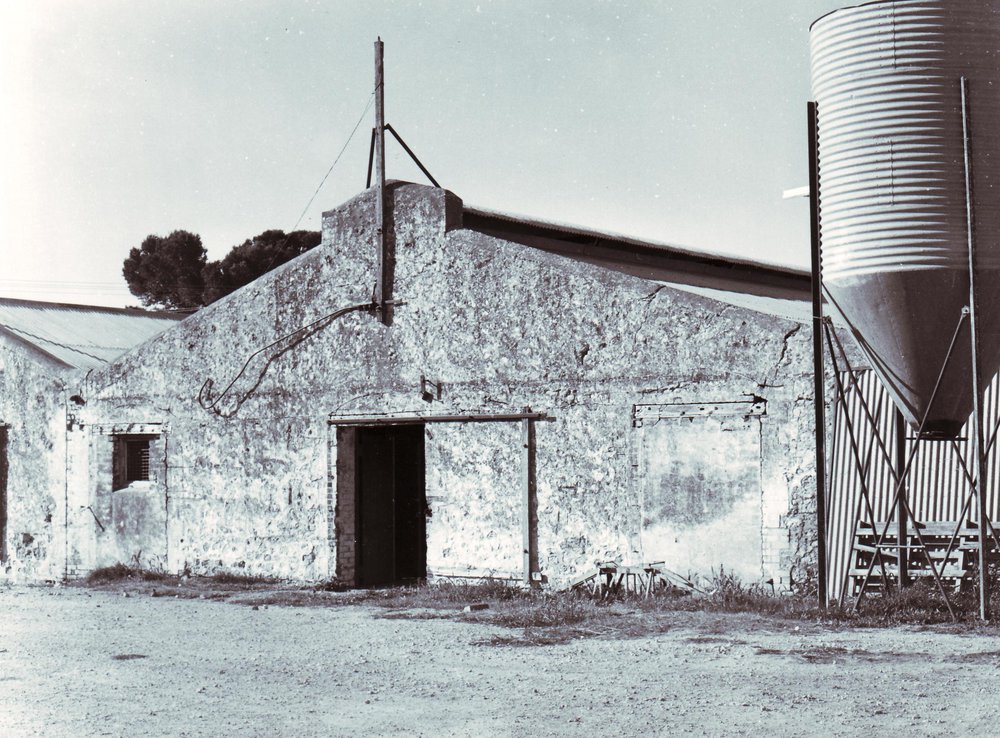 Farm Buildings, Roseworthy Agricultural College, c1970