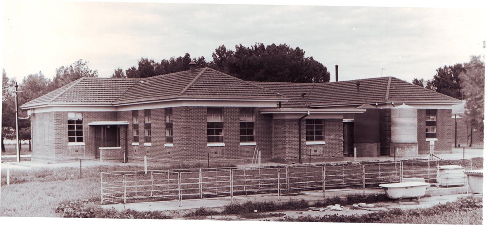 Animal Production Laboratory, Roseworthy Agricultural College, c1960