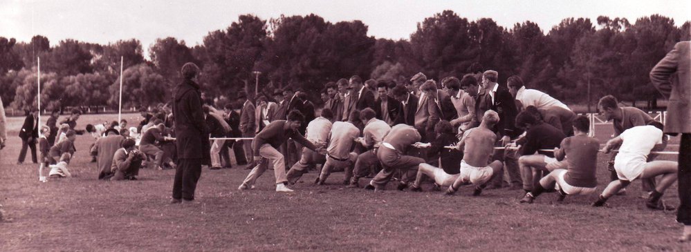 Tug of War, Roseworthy Agricultural College, c1962