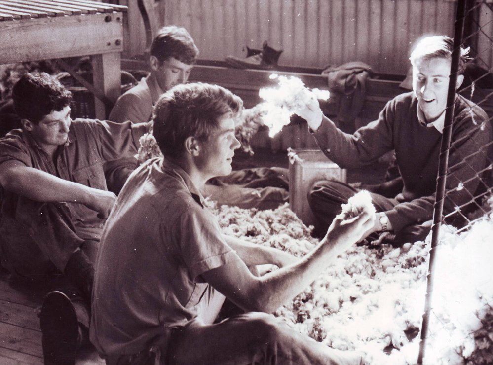 Wool Sorting, 1960