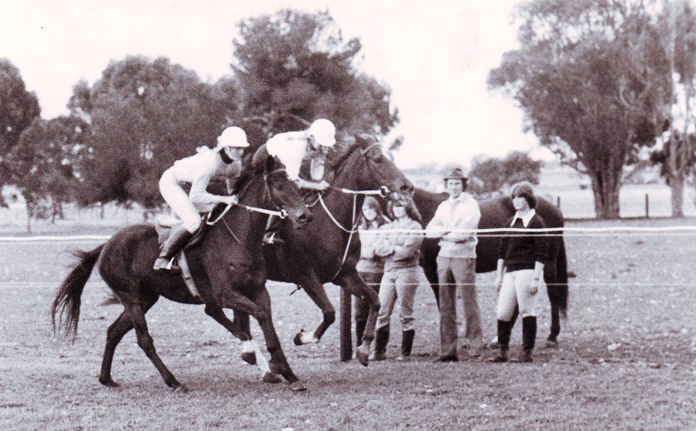 Thoroughbred Training, 1980
