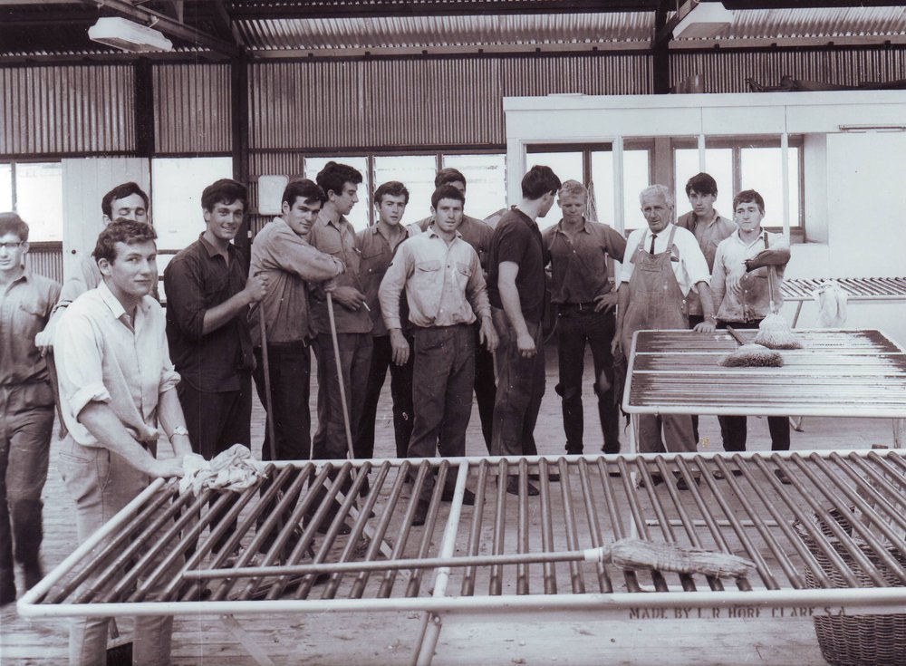 Students in Shearing Shed, Roseworthy Agricultural College, 1966