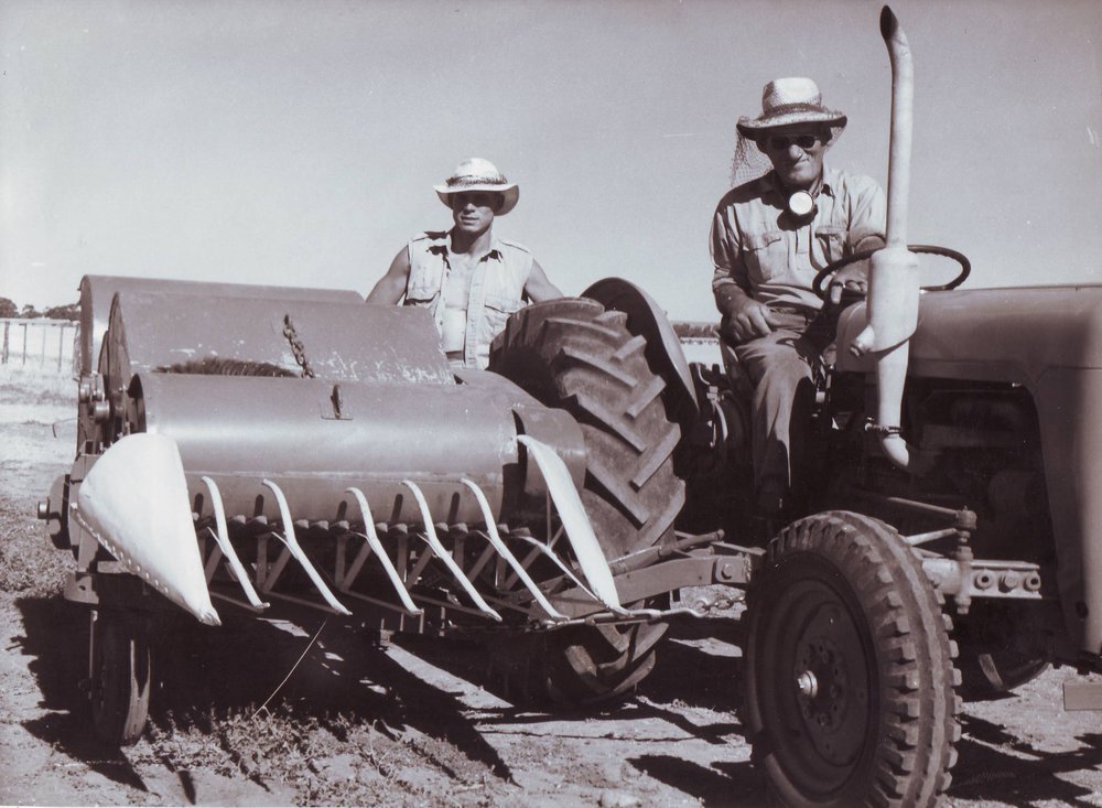 Cereal Plot Stripper, 1962