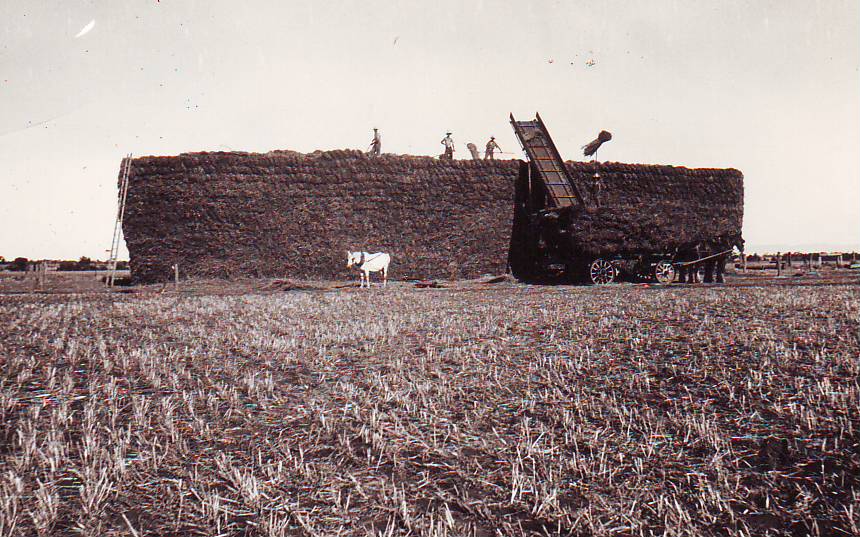 Haystack Building, 1935