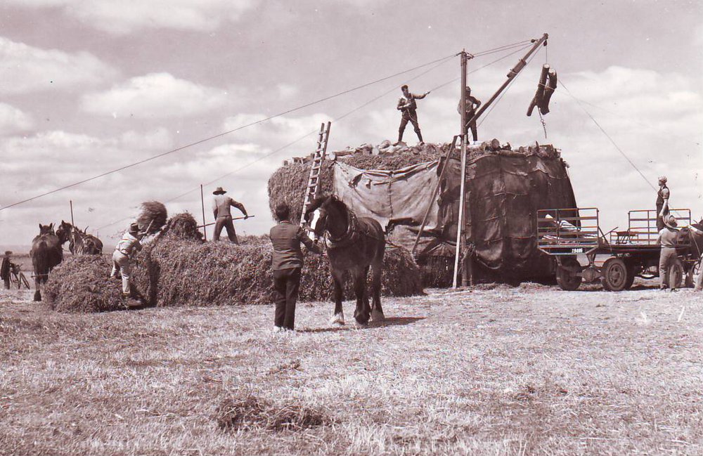 Silage Stacks, 1930s