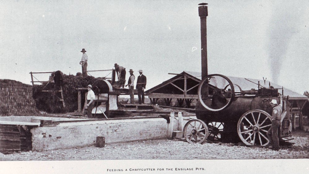 Feeding a Chaffcutter, 1900