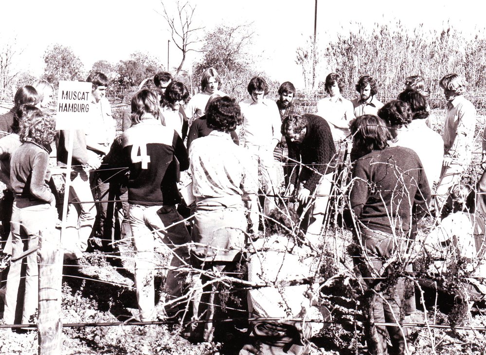 Pruning Demonstration, 1970s