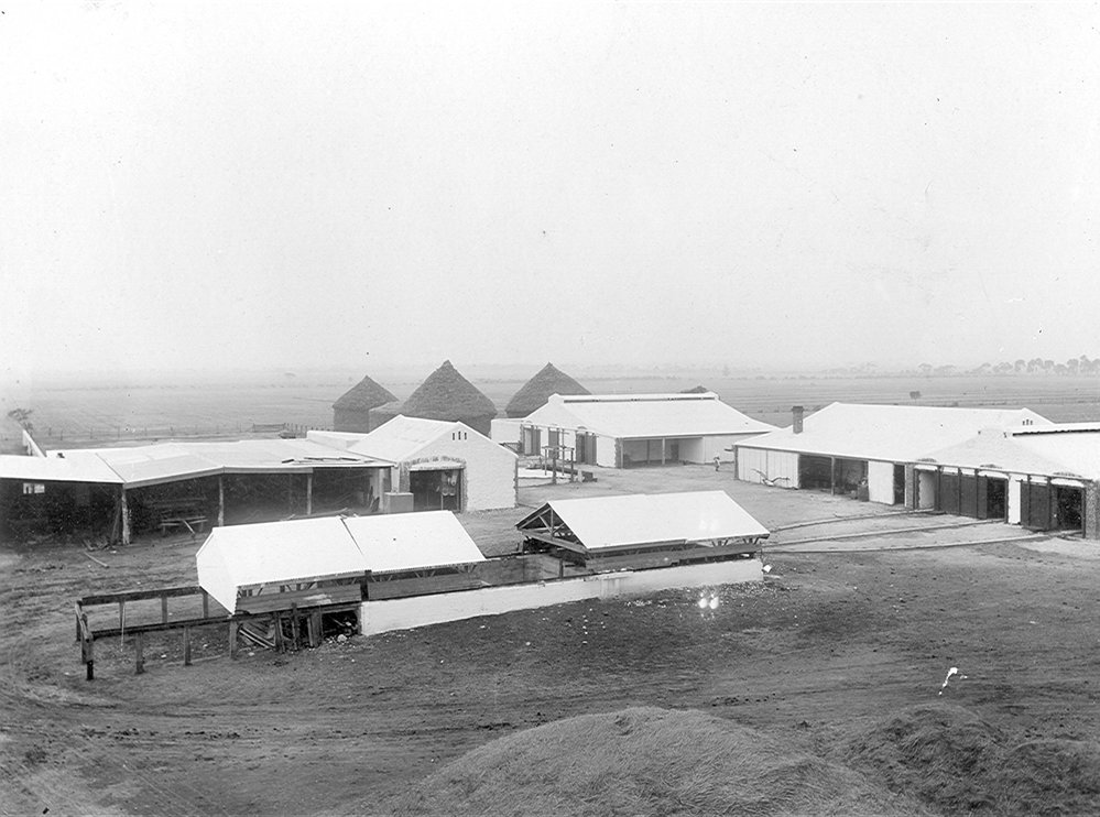 Farm Buildings, Roseworthy Agricultural College, 1900