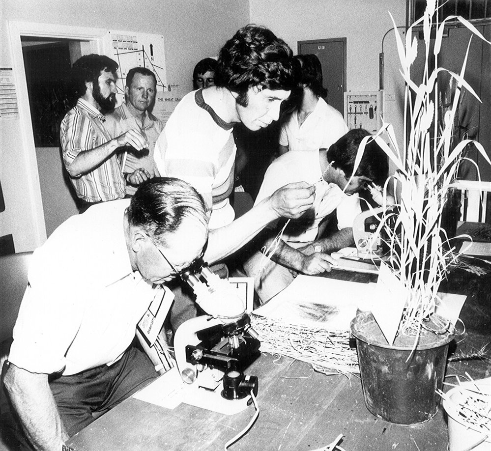 Roseworthy Cereal Testing, 1970s