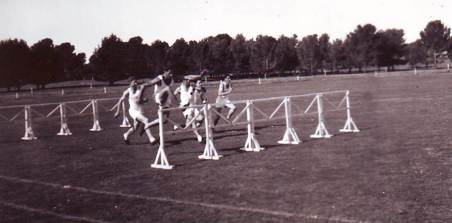 Sports Day, Roseworthy Agricultural College, c1949