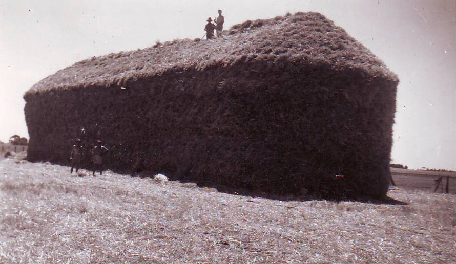 Haystack, c1948