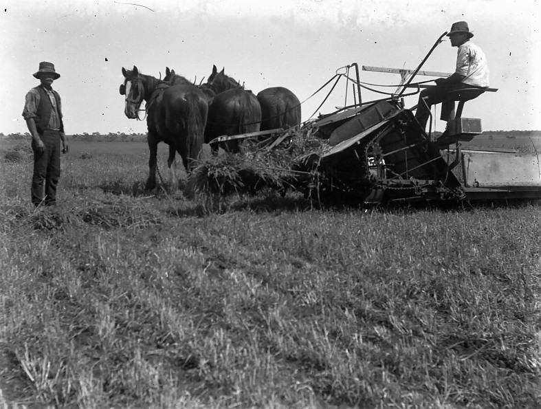 Horse Drawn Farming Equipment, c1920