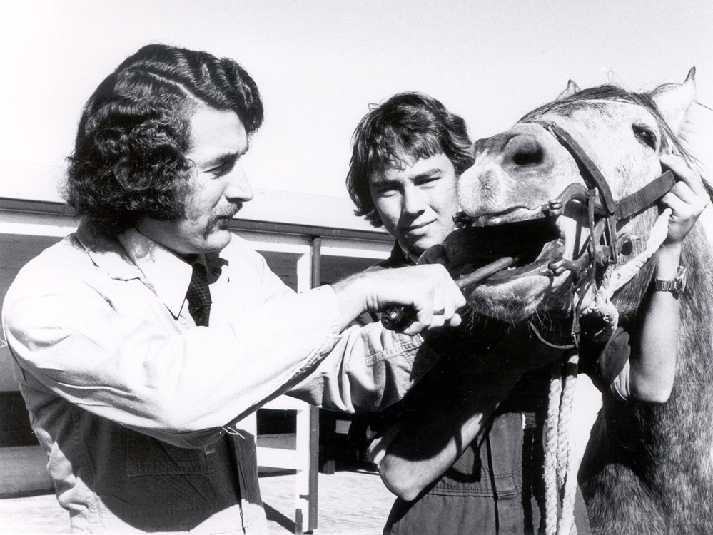 Horse-Husbandry, c1980