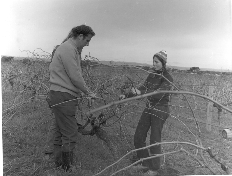 Students Pruning Vines, 1975