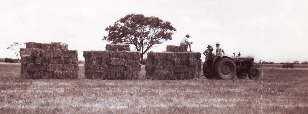 Hay Carting, 1949