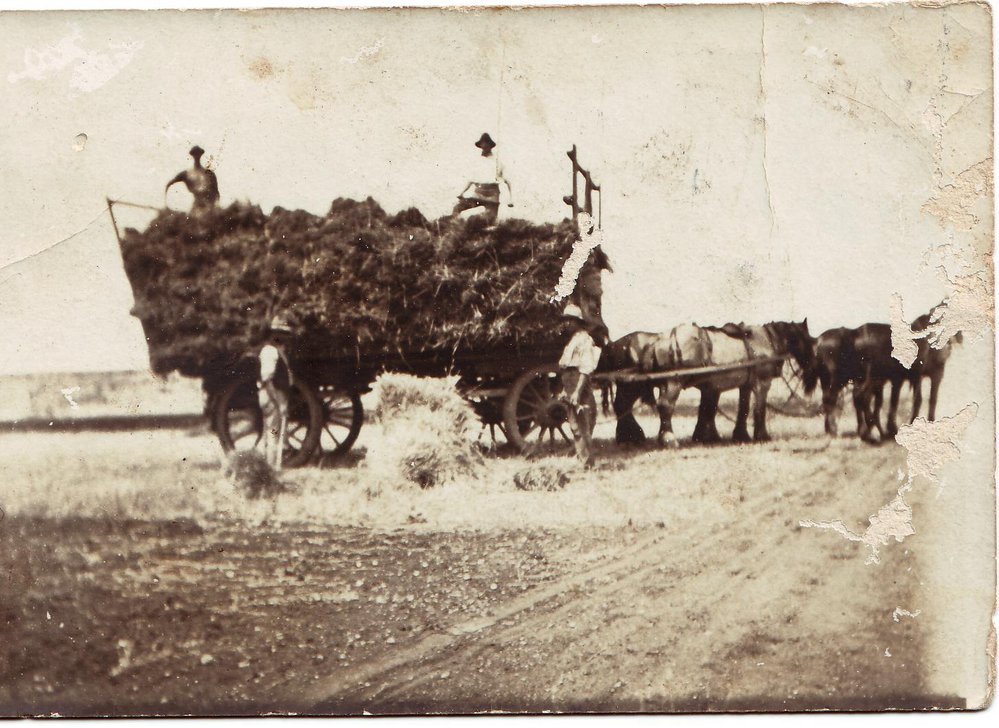 Loading Hay, c1900