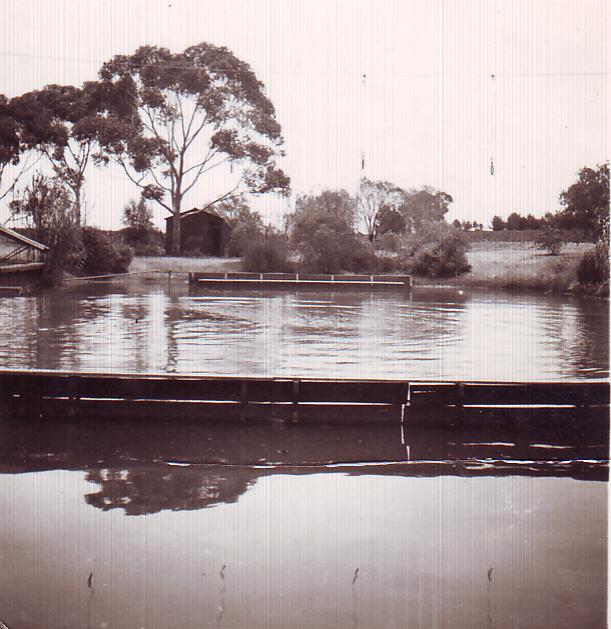 Swimming Pool, Roseworthy Agricultural College, 1938