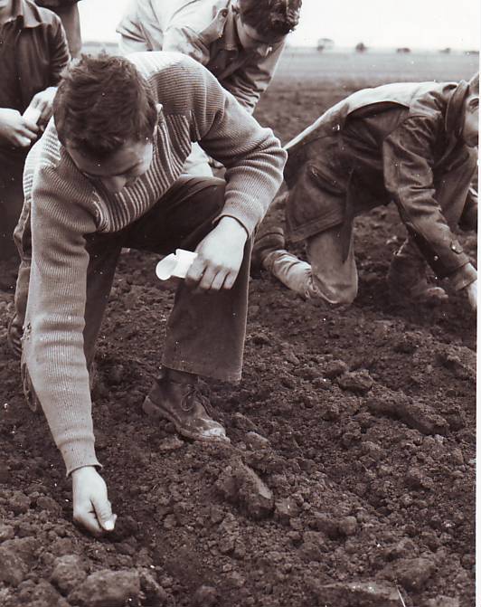 Hand Seeding, 1962