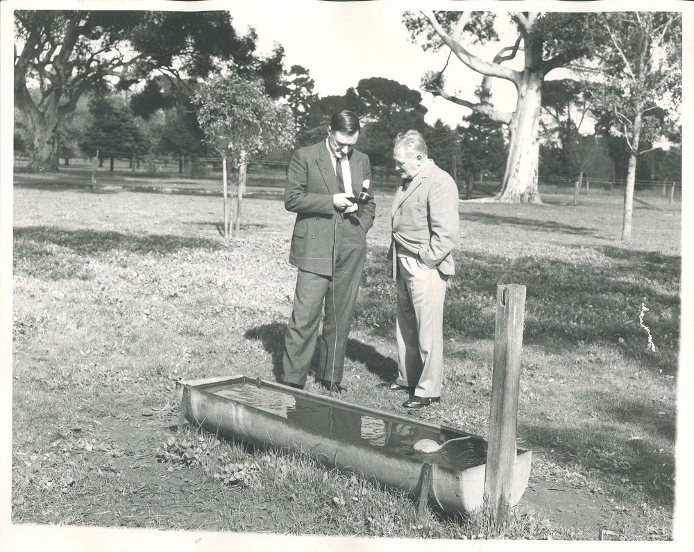 Chief Agronomist Frank Pearson, c1966