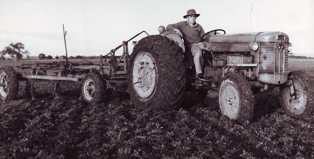 Cultivating, 1962