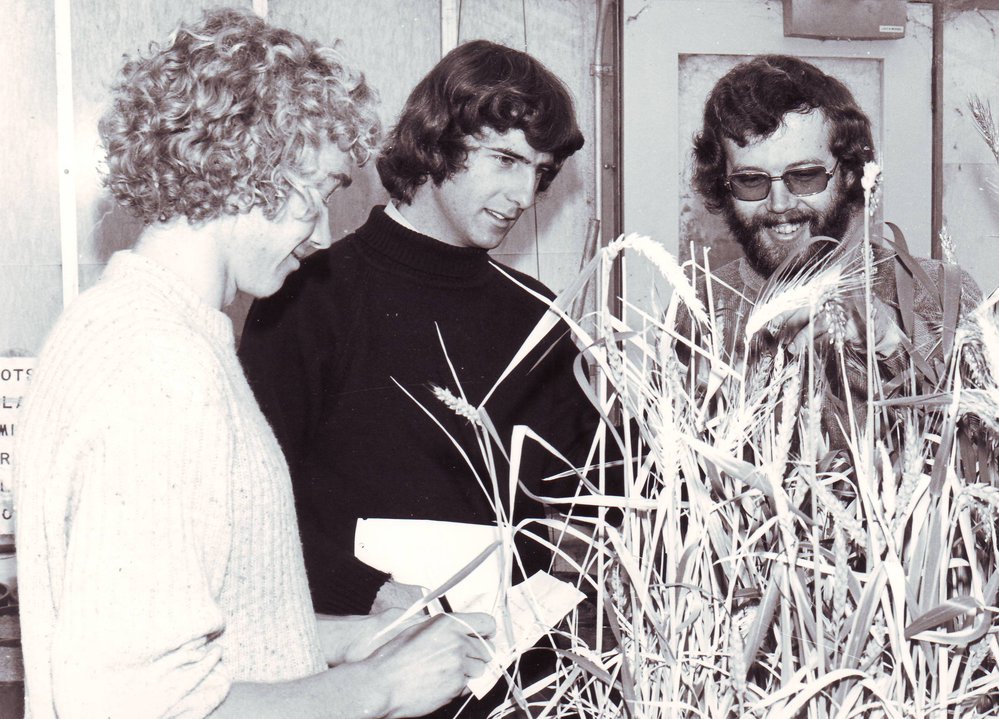 Plant Breeding, 1979