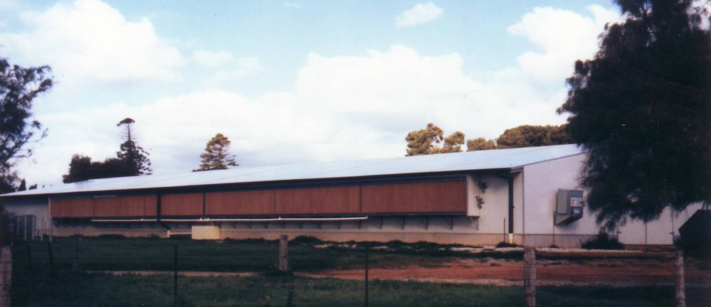 Poultry Shed, Roseworthy Agricultural College, 1990s
