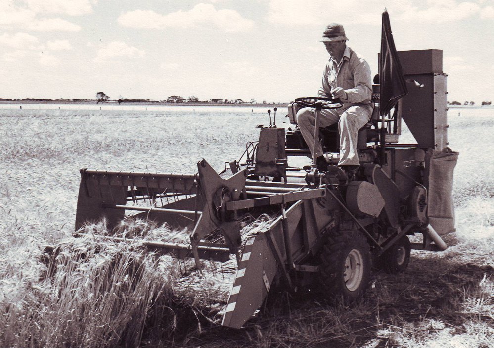 Plant Breeder Harvesting, c1975