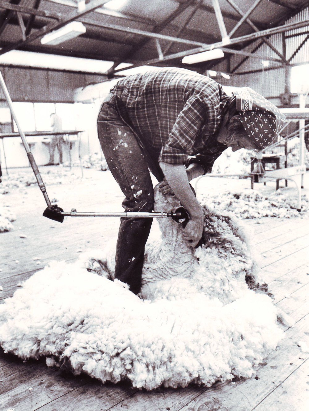 Jill Riggs Shearing, c1978