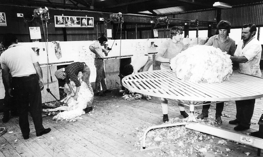 Students in Shearing Shed, 1978